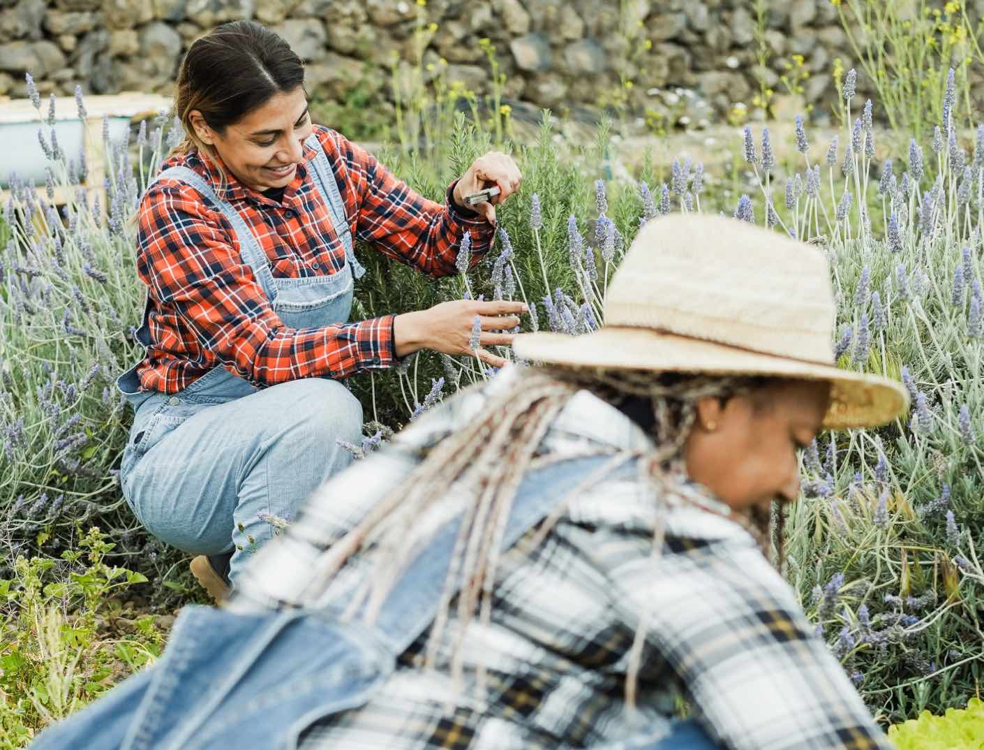 Buying Farmland farmer gardening