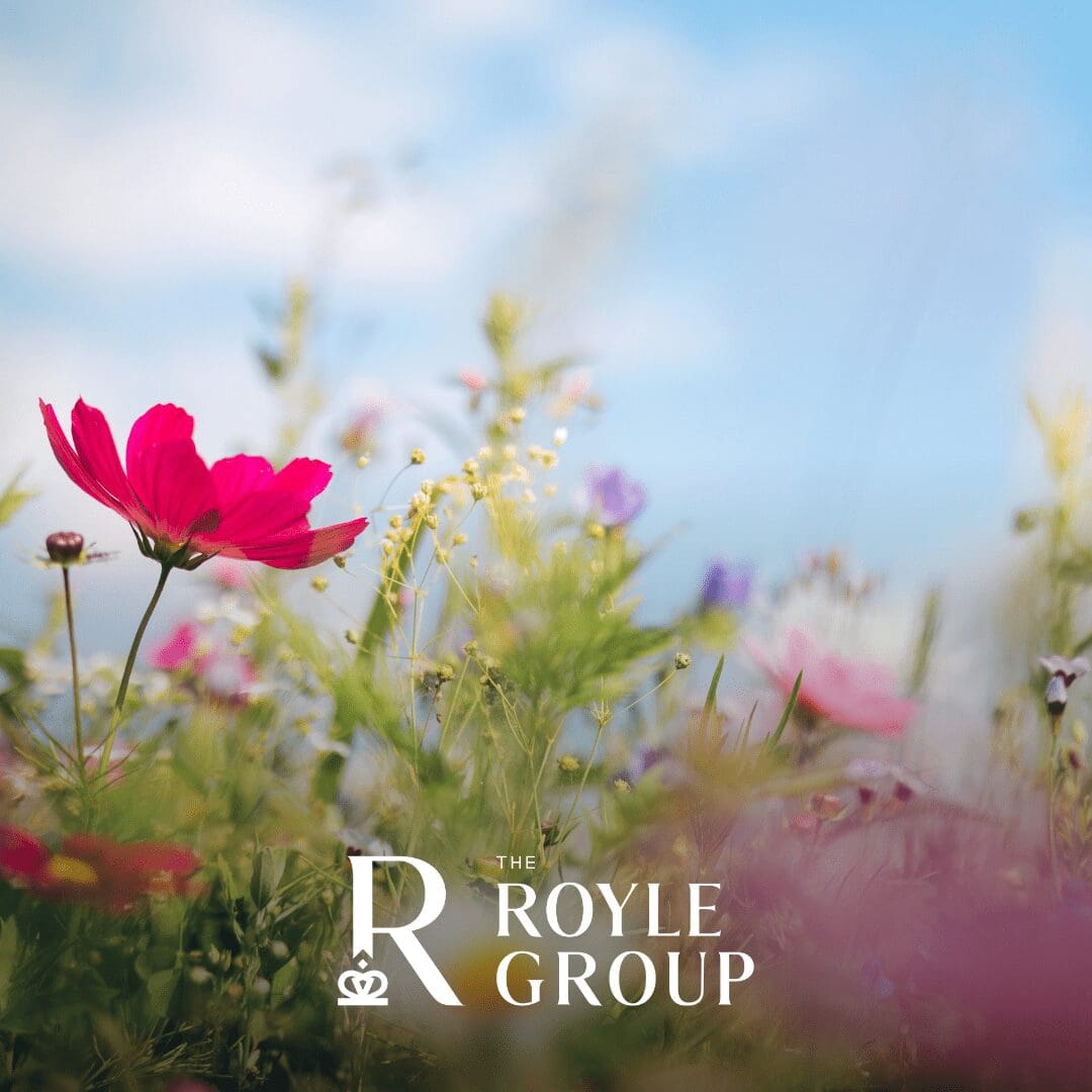The Royle Group logo in front of spring flowers